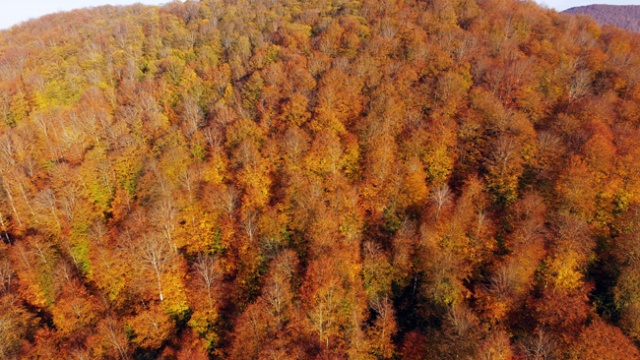 Nebiyan Dağı'nda sonbahar manzaraları