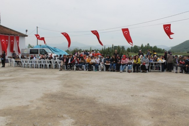 Bafra`da Çeltik  Festivali