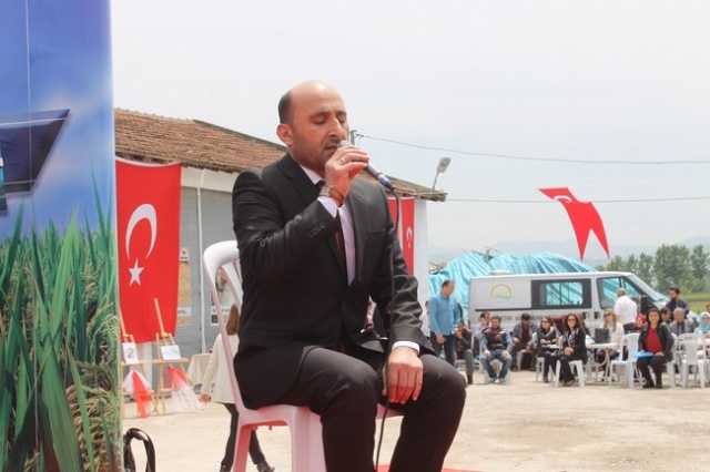 Bafra`da Çeltik  Festivali