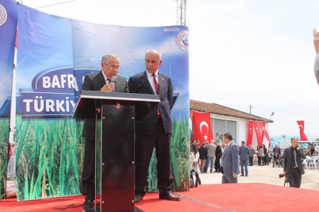 Bafra`da Çeltik  Festivali