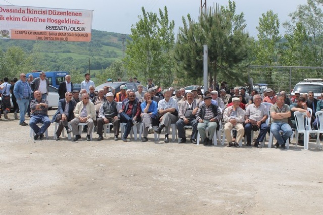 Bafra`da Çeltik  Festivali