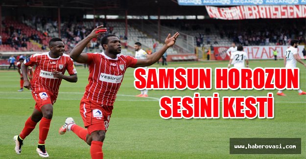 Samsunspor-Denizlispor: 2-1
