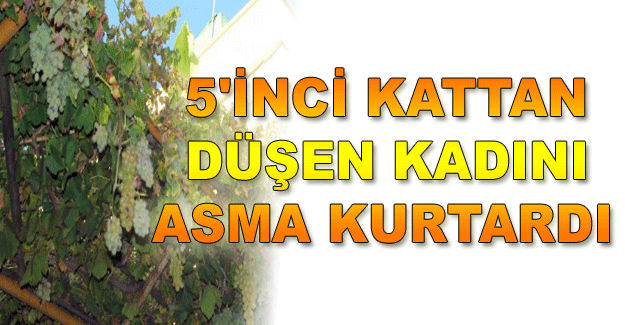 5'inci kattan düşen kadını asma kurtardı