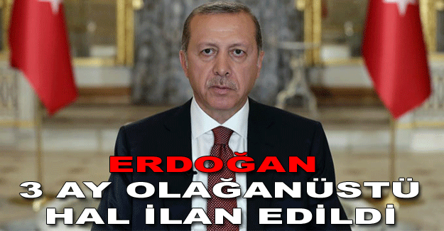 Erdoğan: 3 ay olağanüstü hal ilan edildi