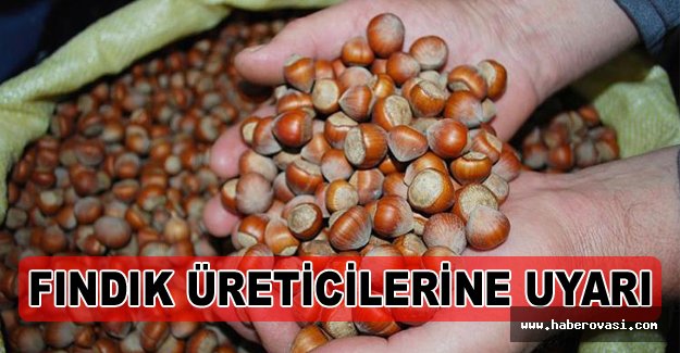 Fındık üreticilerine 'alan Bazlı Destekleme' uyarısı