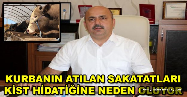 Kurbanın atılan sakatatları kist hidatiğine neden oluyor