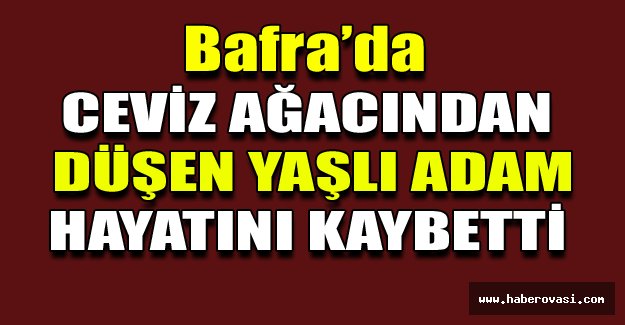 Bafra'da ağaçtan düşen adam hayatını kaybetti.