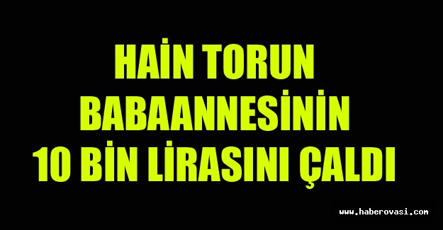 Hain Torun Babaannesinin 10 Bin Lirasını Çaldı