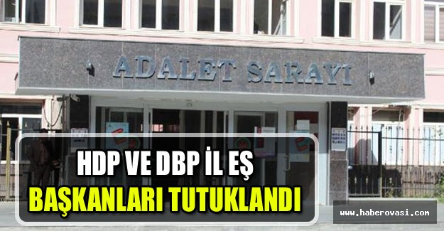 HDP ve DBP İl eş başkanları tutuklandı