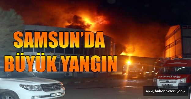 Samsun'da büyük yangın..