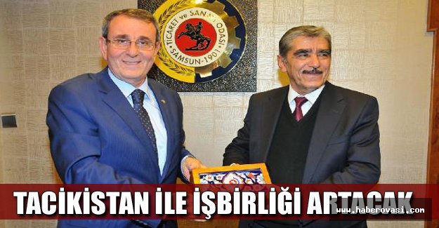 Tacikistan ile işbirliği artacak