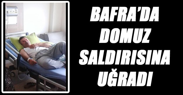 BAFRA’DA DOMUZ SALDIRISI…