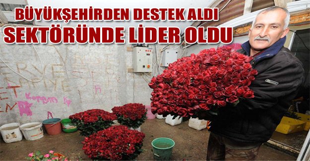 Büyükşehirden destek aldı, sektöründe lider oldu