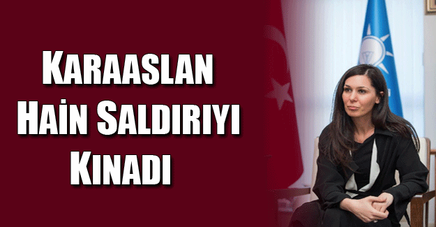 Karaaslan hain saldırıyı kınadı