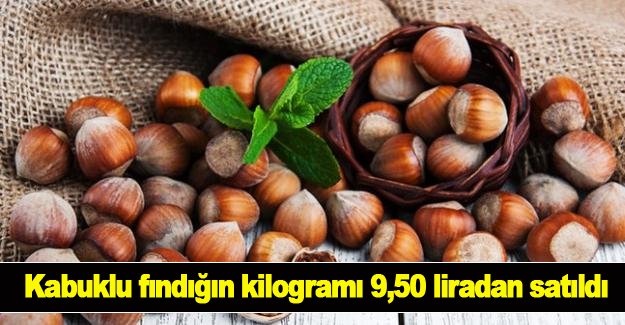 Kabuklu fındığın kilogramı 9,50 liradan satıldı