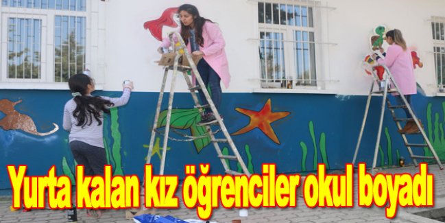 Yurta kalan kız öğrenciler okul boyadı