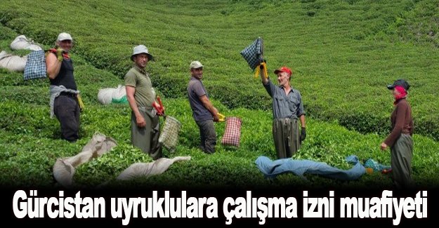 Gürcistan uyruklulara çalışma izni muafiyeti