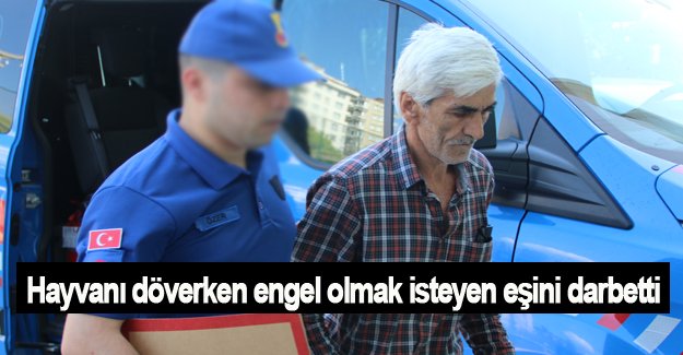 Hayvanı döverken engel olmak isteyen eşini darbetti