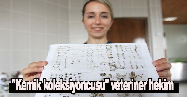 "Kemik koleksiyoncusu" veteriner hekim