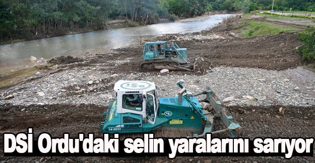 DSİ Ordu'daki selin yaralarını sarıyor