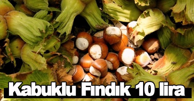 Kabuklu Fındık 10 lira