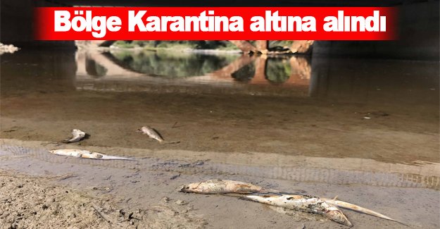 O bölge karantina altına alındı