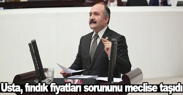 Usta, fındık fiyatları sorununu meclise taşıdı