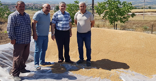 Vezirköprü'de buğday alımına başladı