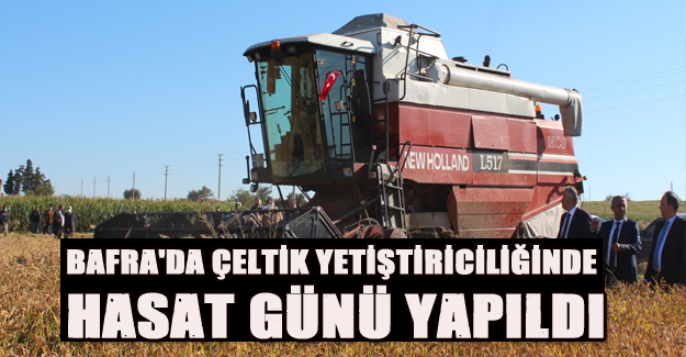 Bafra'da Çeltik Yetiştiriciliğinde Hasat Günü yapıldı.