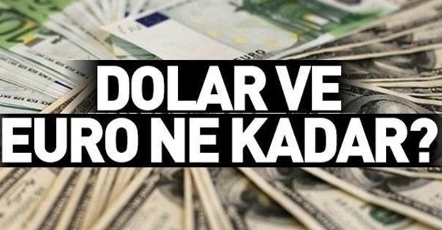 Dolar 14'de yaklaştı