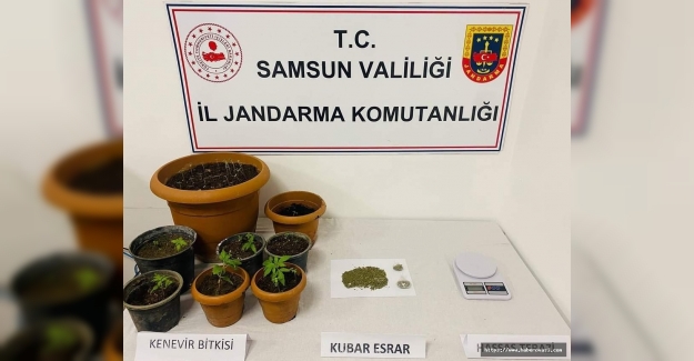 Samsun'da uyuşturucu operasyonu 1 gözaltı