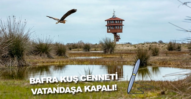 Bafra Kuş Cenneti vatandaşa kapalı!