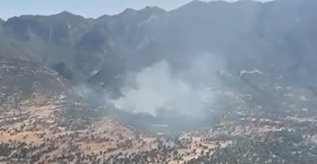 PKK'lı teröristler kaçmak için ormanları yakıyor