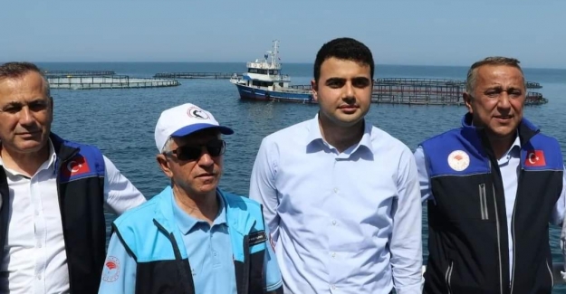 Yakakent'de Türk Somon hasadı