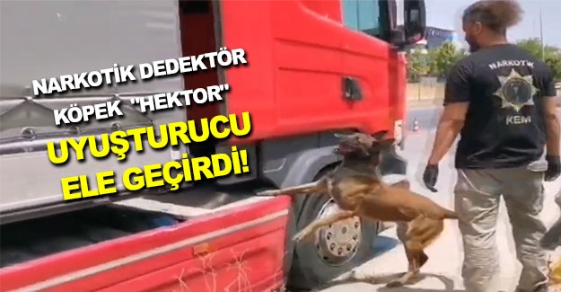 Samsun'da Narkotik Köpek Hektor uyuşturucuyu buldu