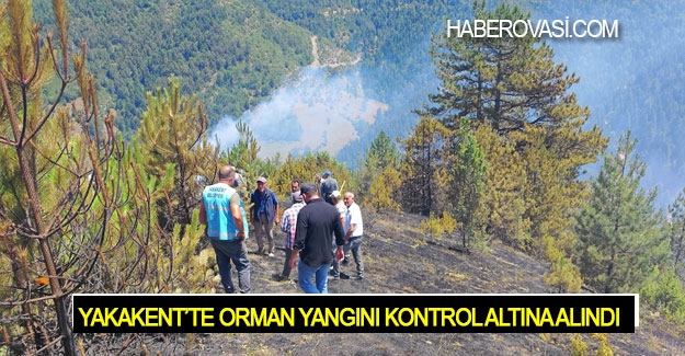 Yakakent'te orman yangını kontrol altına alındı