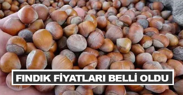 Fındık alım fiyatları belli oldu