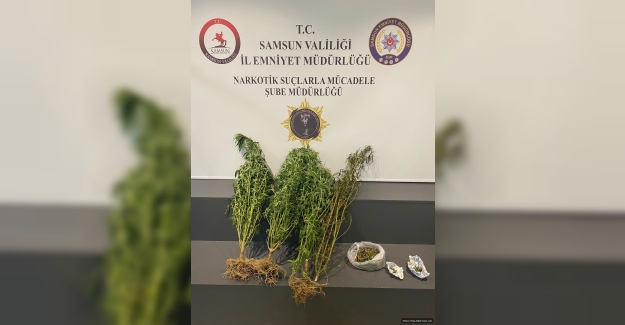 Samsun'da Narkotik uygulamada 20 gözaltı