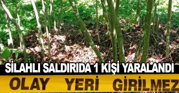 Samsun'da silahla bir kişi yaralandı