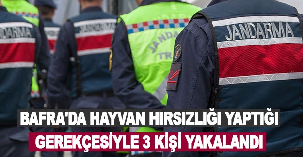 Bafra'da hayvan hırsızlığı yaptığı gerekçesiyle 3 kişi yakalandı