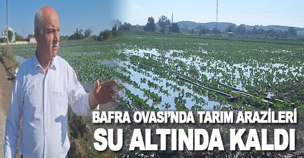 Bafra Ovası'nda tarım arazileri sular altında kaldı