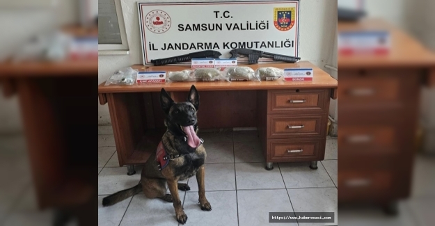 Denek köpeği uyuşturucuyu buldu, 2 kişi tutuklandı