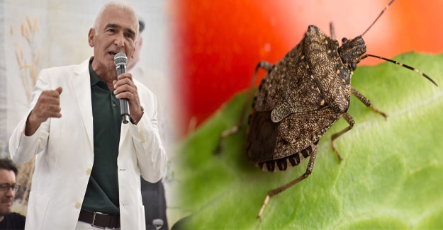 Erdal Avcı kokarca hatırlatması yaptı