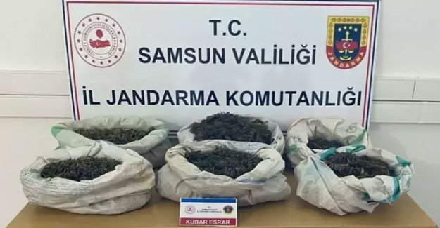 Bafra'da ormanlık alanda uyuşturucu bulundu