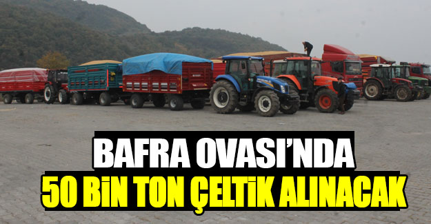 Bafra Ovası'nda çeltik hasadı tamamlandı