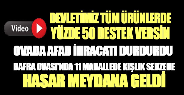 Ziraat Odası Başkanı Osman Tosuner, Bafra Ovası'nda 2024 yılını değerlendirdi