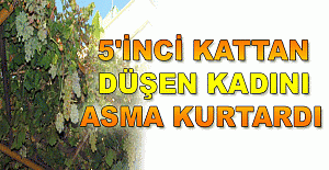 5'inci kattan düşen kadını asma kurtardı