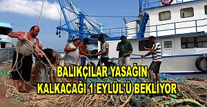 Balıkçılar yasağın kalkacağı 1 Eylül'ü bekliyor