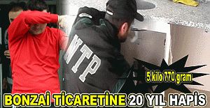 Bonzai ticaretine 20 yıl hapis