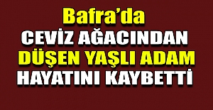 Bafra'da ağaçtan düşen adam hayatını kaybetti.